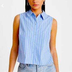 Express Poplin Blue and White Striped Sleeveless Top